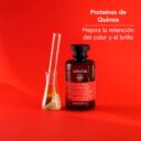 8682-2-APIVITA-Color-Seal-Protect-Shampoo-linea-estetica.jpg