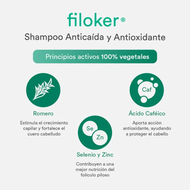 filoker_shampoo_ingredientes.webp filoker_shampoo_ingredientes.webp